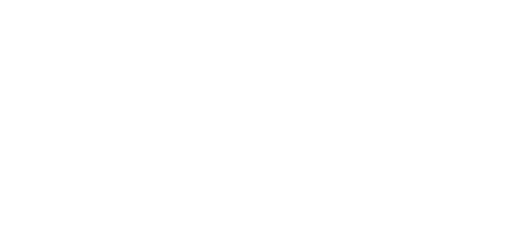 logo-light